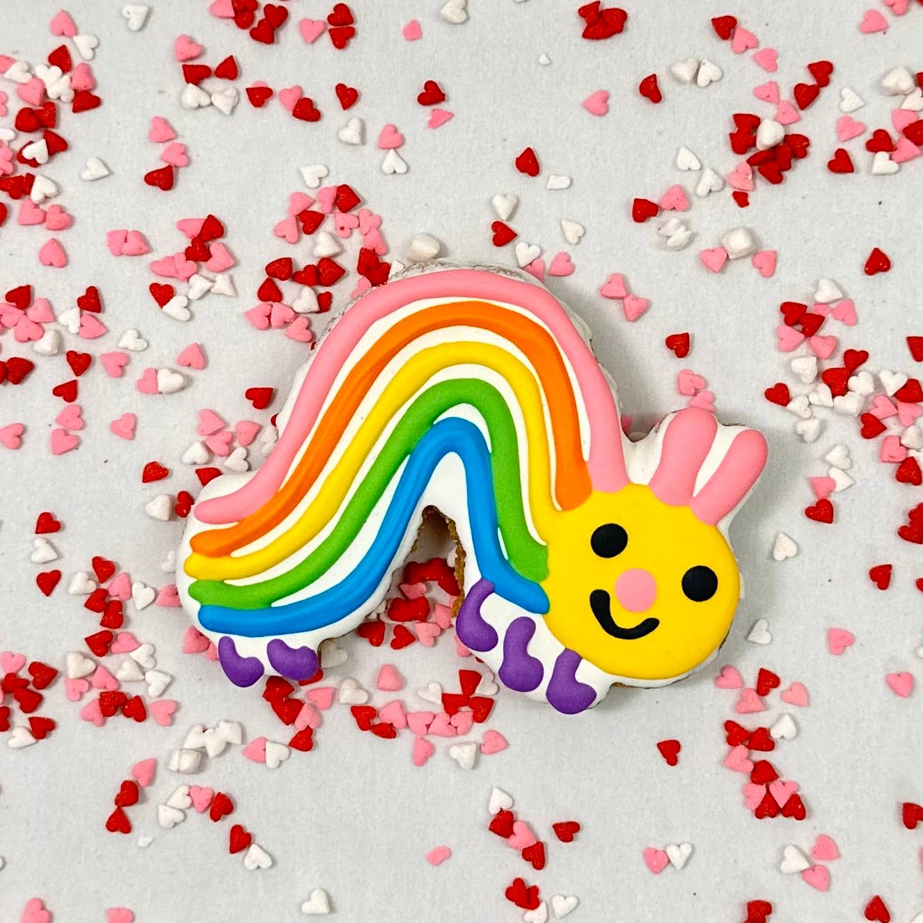 Lucky Biscuit Pet Bakery - Colorburst Spring Bloom Collection: Rainbow Petal Daisy