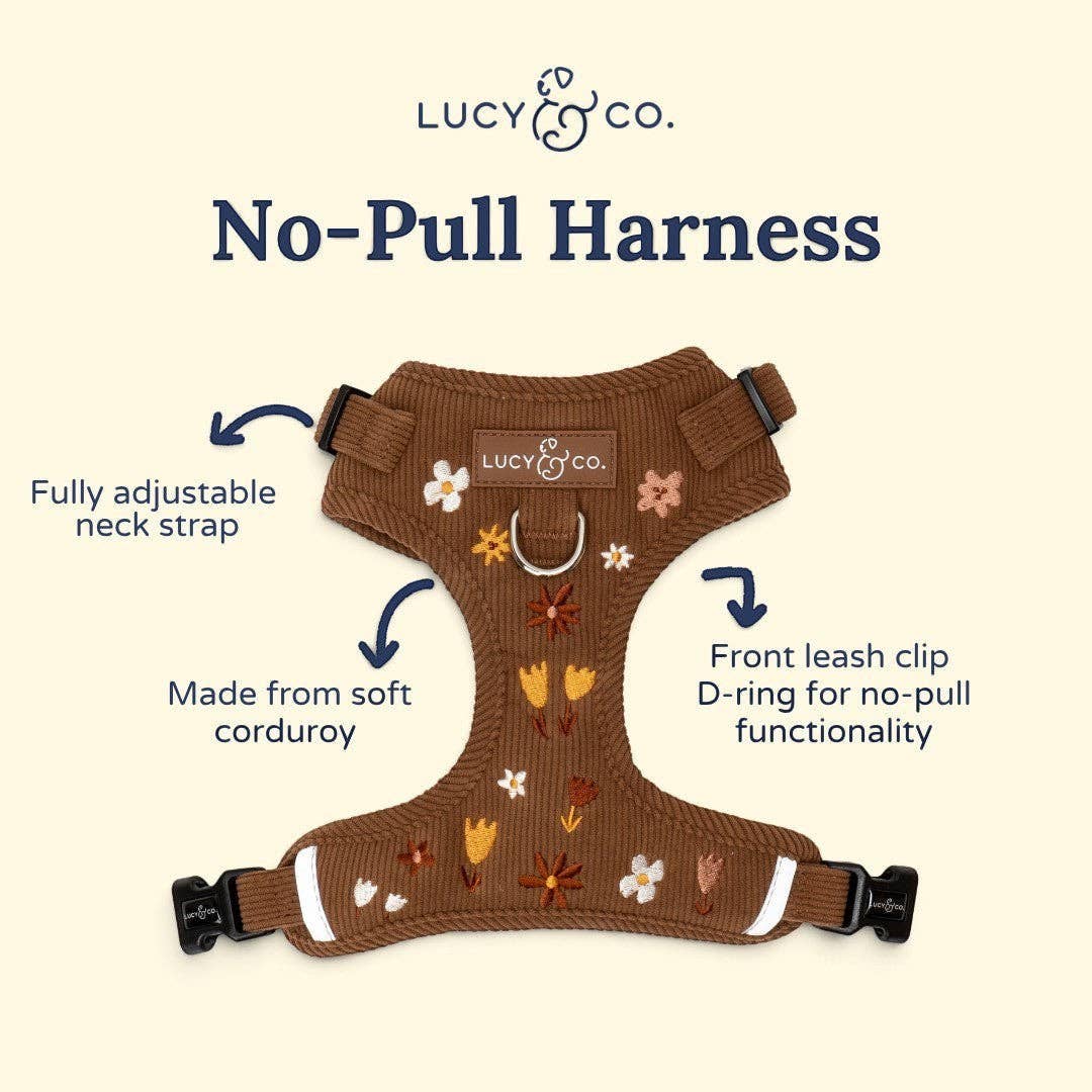 Lucy &amp; Co. - Chocolate Meadows Corduroy No-Pull Harness