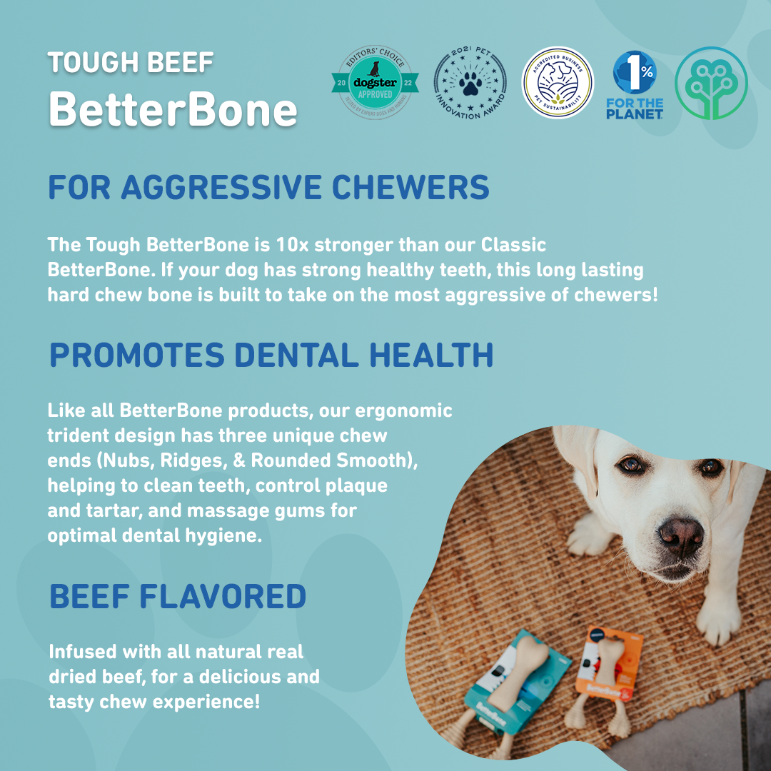 BetterBone - BetterBone TOUGH — DURABLE All-Natural Sustainable Chew Toy: Large (dogs over 25 lbs) / Beef
