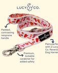 Lucy & Co. - Howdy, Honey Leash: L