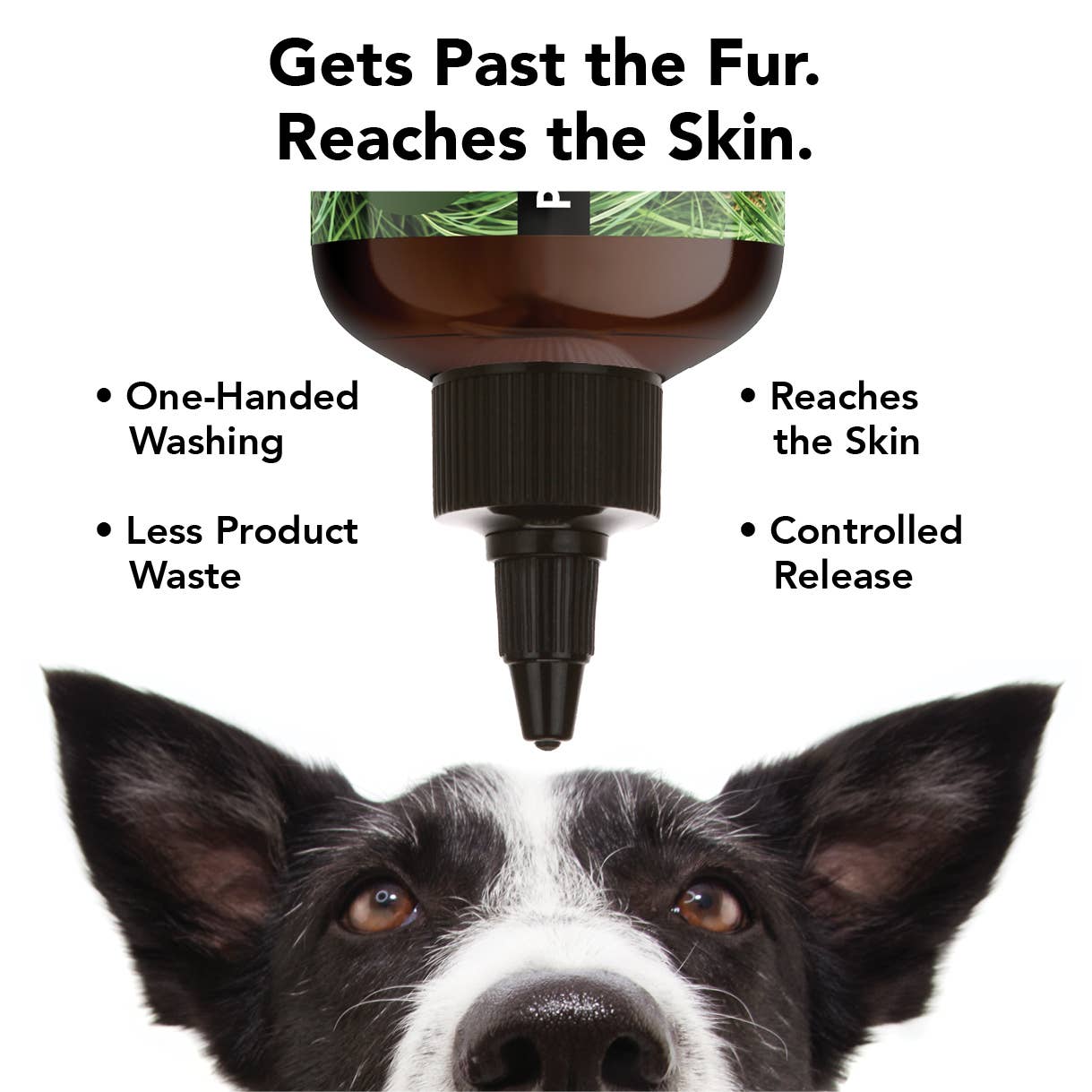 PRIDE+GROOM - THE FLEA+TICK
