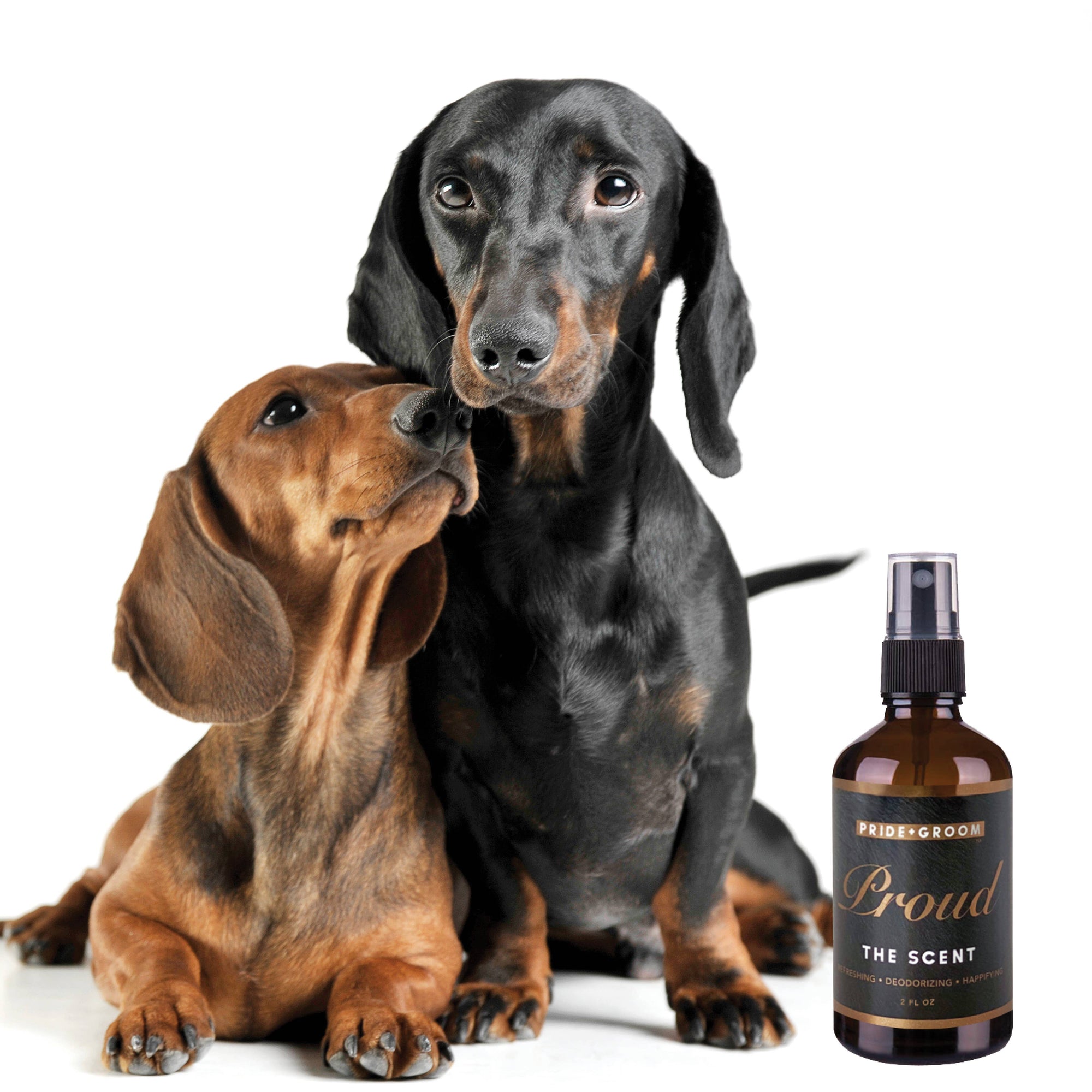 PRIDE+GROOM - PROUD, The Cologne, 4oz