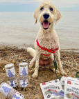 Cod Skins - 4.7oz Tube - Dog & Cat Treats