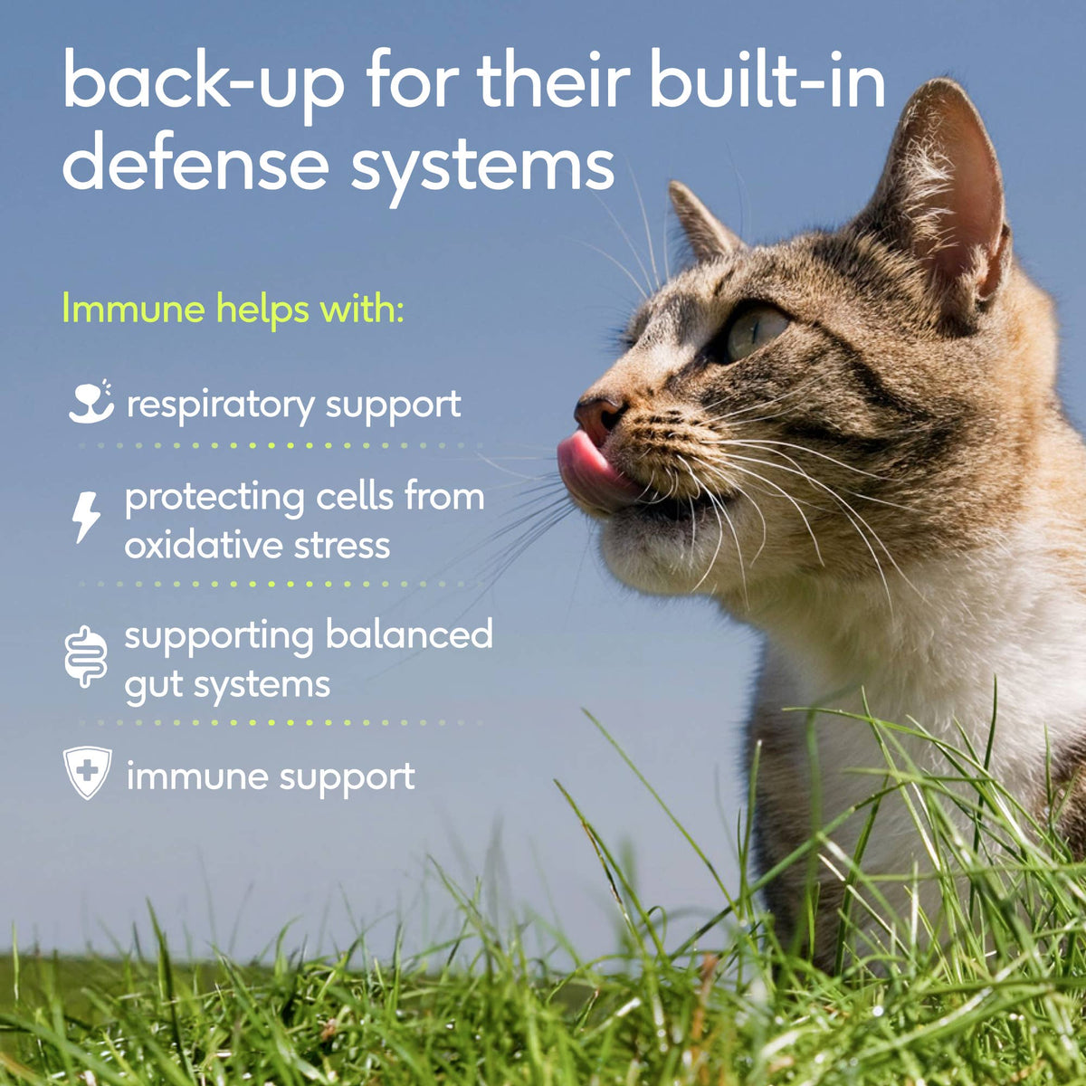 Native Pet - Immune Pillow Chews Immune &amp; Respiratory Support for Cats