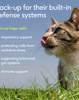 Native Pet - Immune Pillow Chews Immune & Respiratory Support for Cats