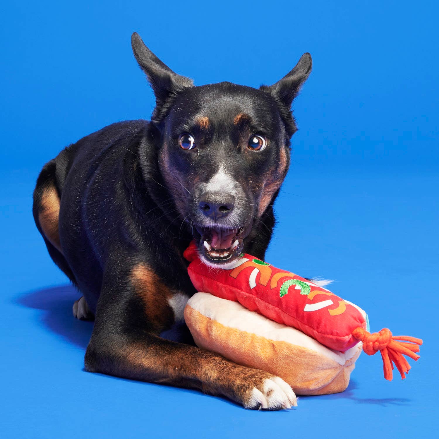 BARK The Everything Dog Fourth Of July BBQ Plush Dog Toy