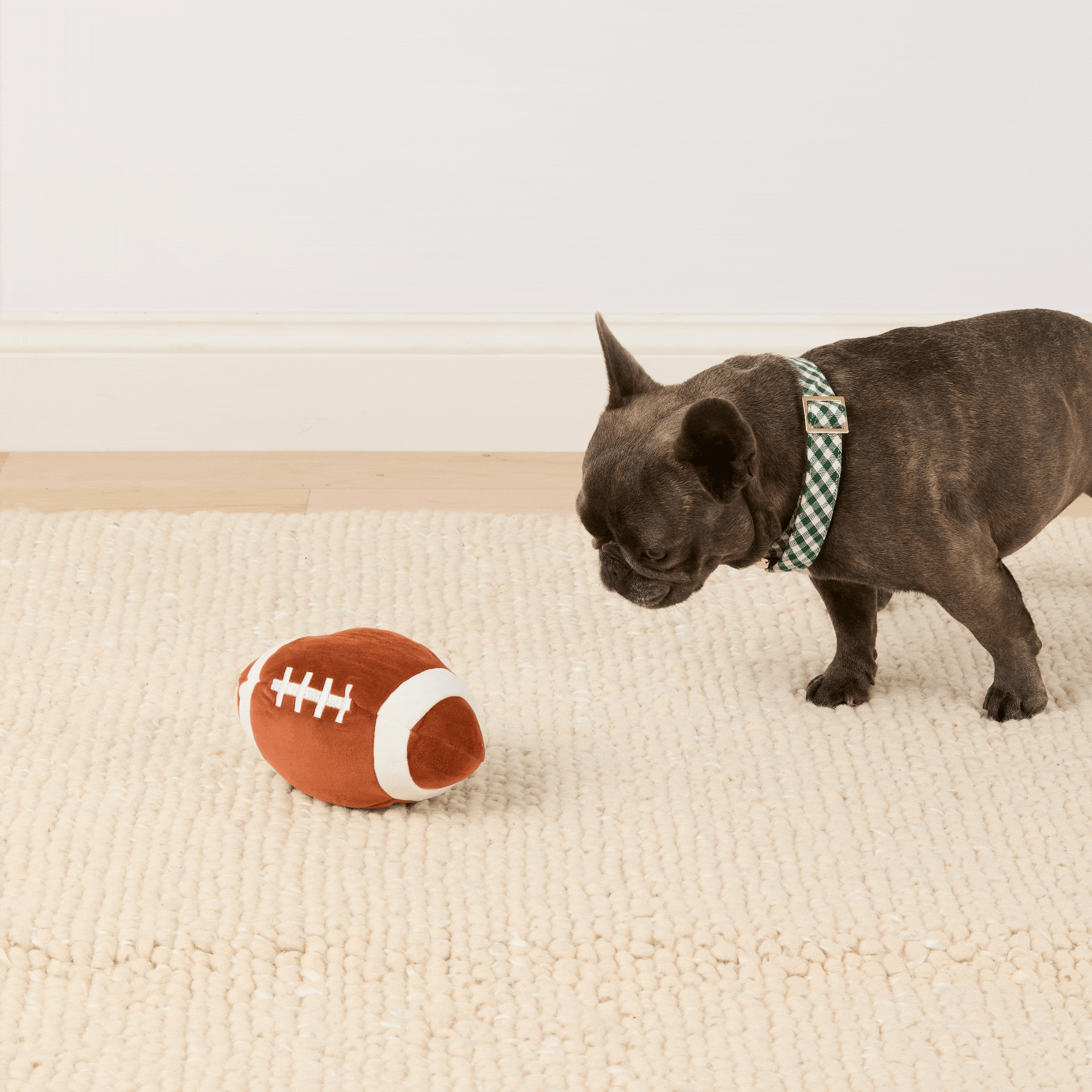 The Foggy Dog - Football Interactive Snuffle Dog Toy