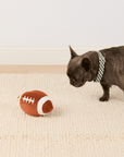 The Foggy Dog - Football Interactive Snuffle Dog Toy