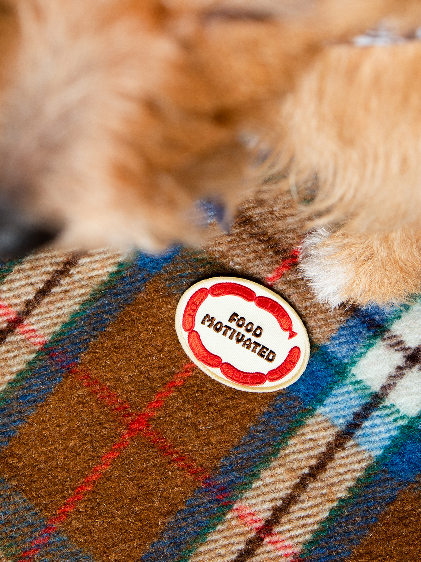 Scout's Honour Pty Ltd - Food Motivated iron-on patch for dogs and cats