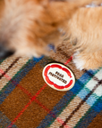 Scout's Honour Pty Ltd - Food Motivated iron-on patch for dogs and cats