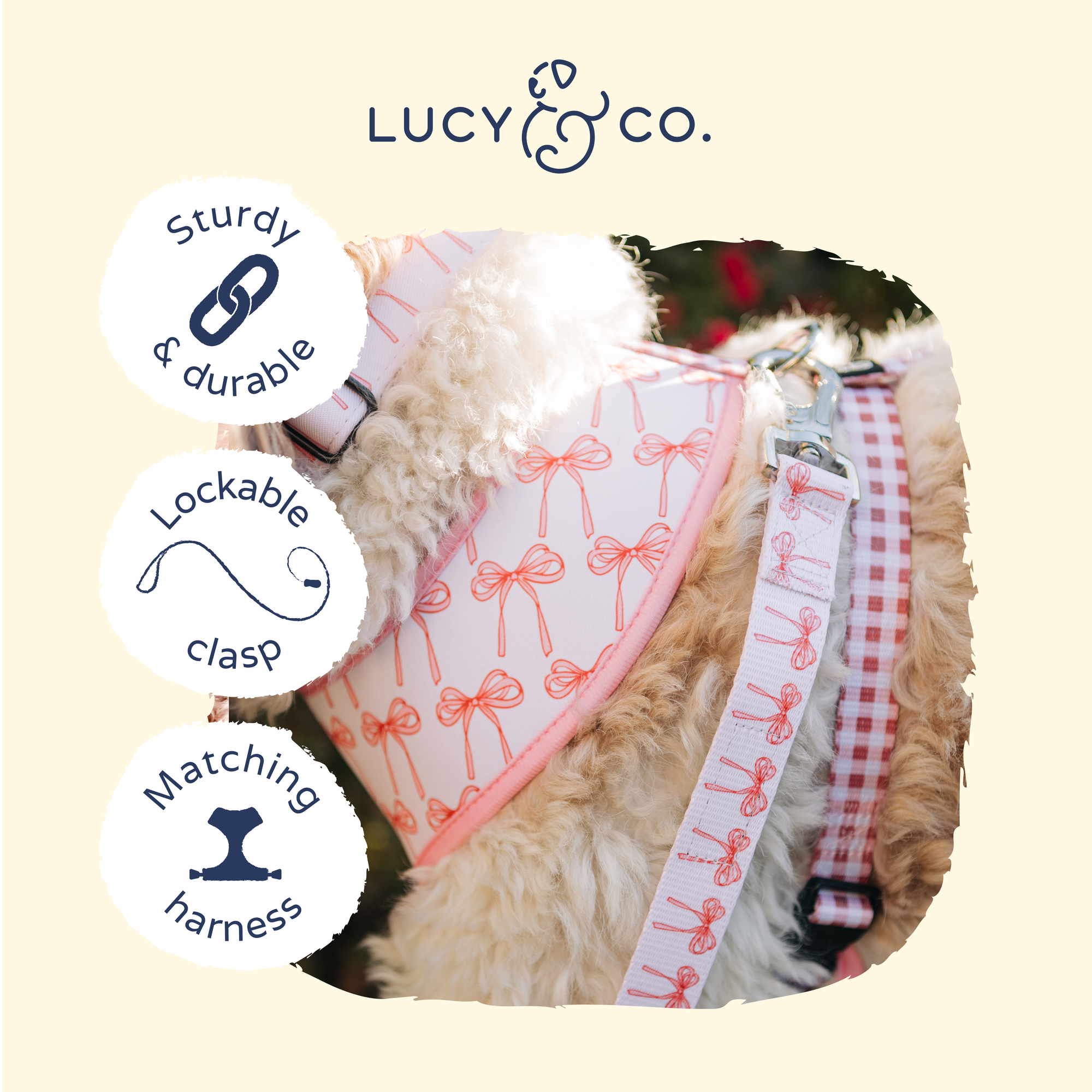 Lucy &amp; Co. - Take a Bow Leash: L