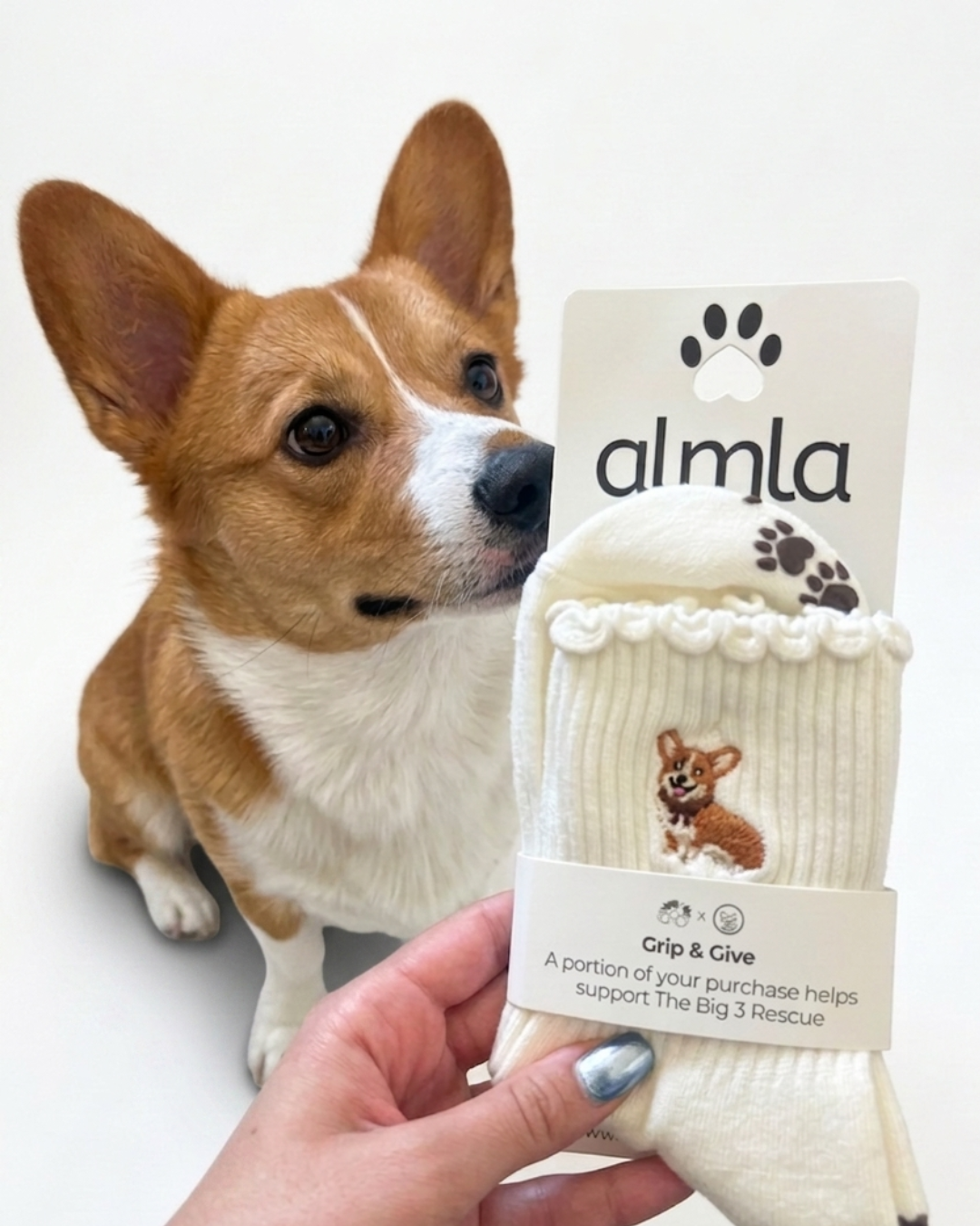 Almla Active - Corgi Embroidered Pilates Socks Brown Paw Grips