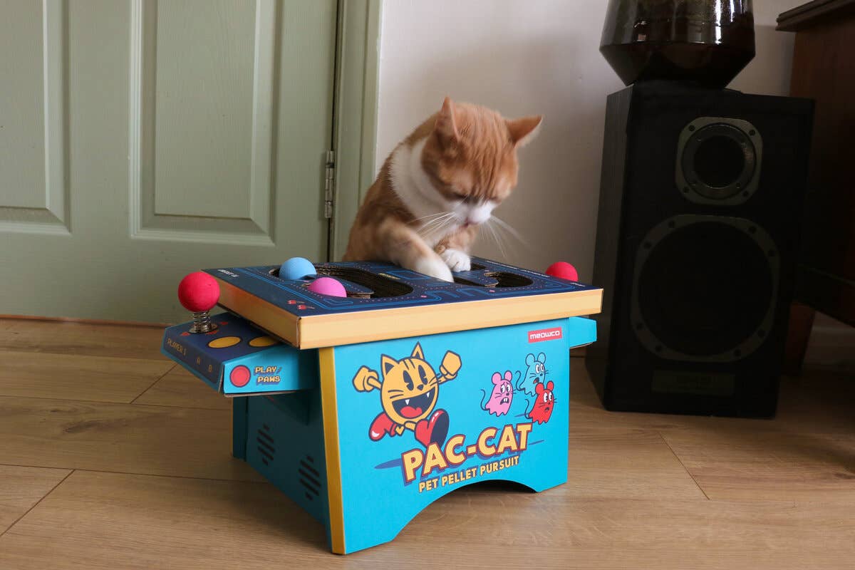 SUCK UK Ltd - USA - Cat Toy Arcade - Cardboard PacMan inspired arcade machine