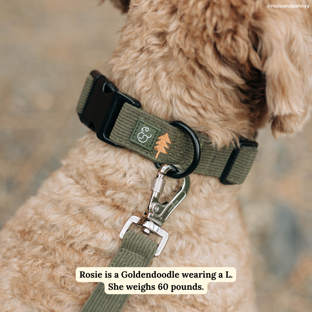 Lucy &amp; Co. - Take a Hike Corduroy Collar