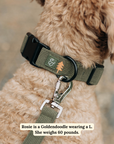Lucy & Co. - Take a Hike Corduroy Collar