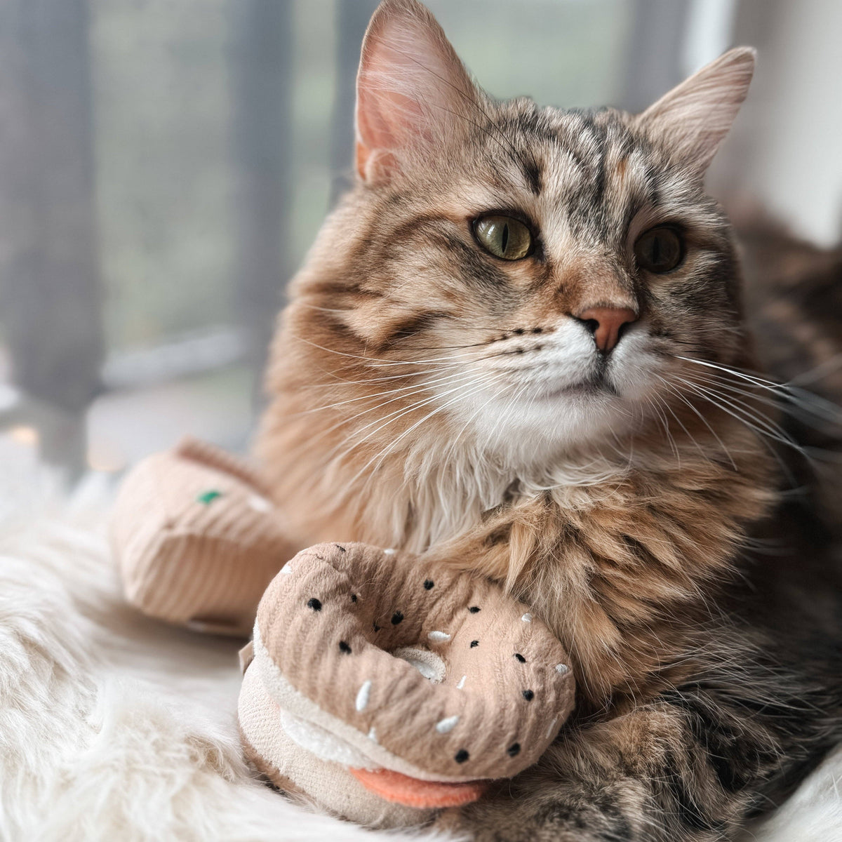 Lambwolf Collective - KITTY PIZZA &amp; BAGEL SET//cat toy: Default Title