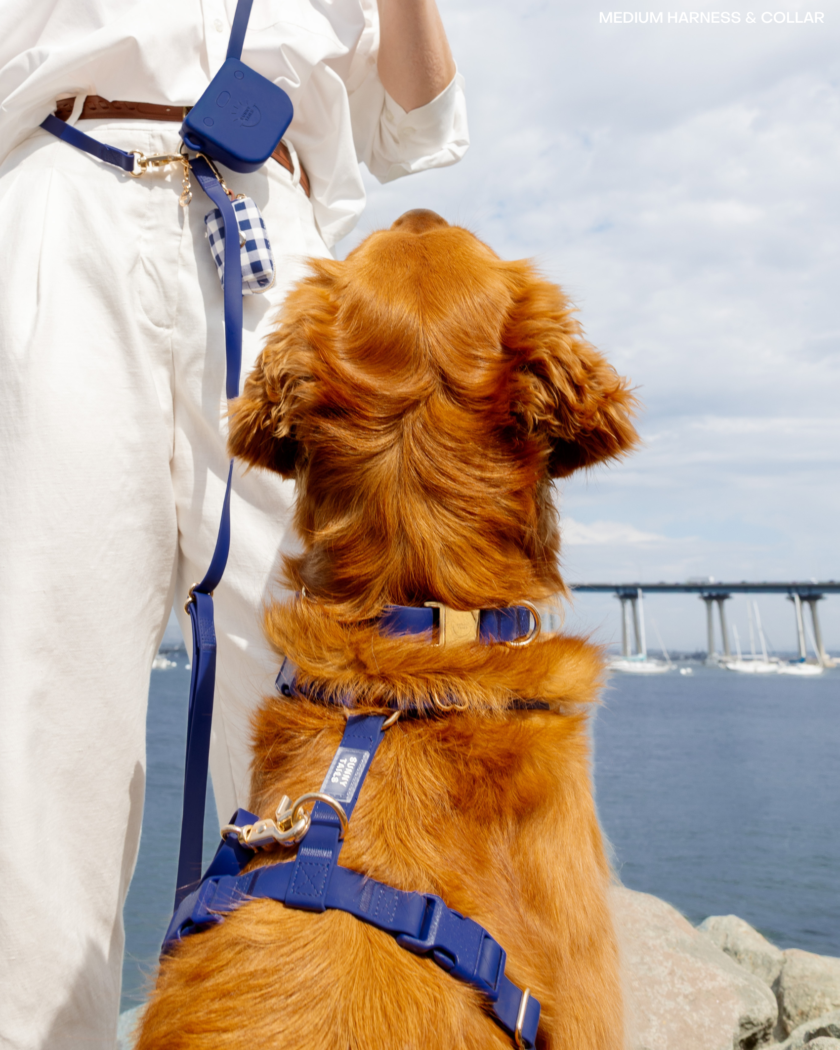 SUNNY TAILS - Signature Navy Waterproof Dog Collar: SMALL