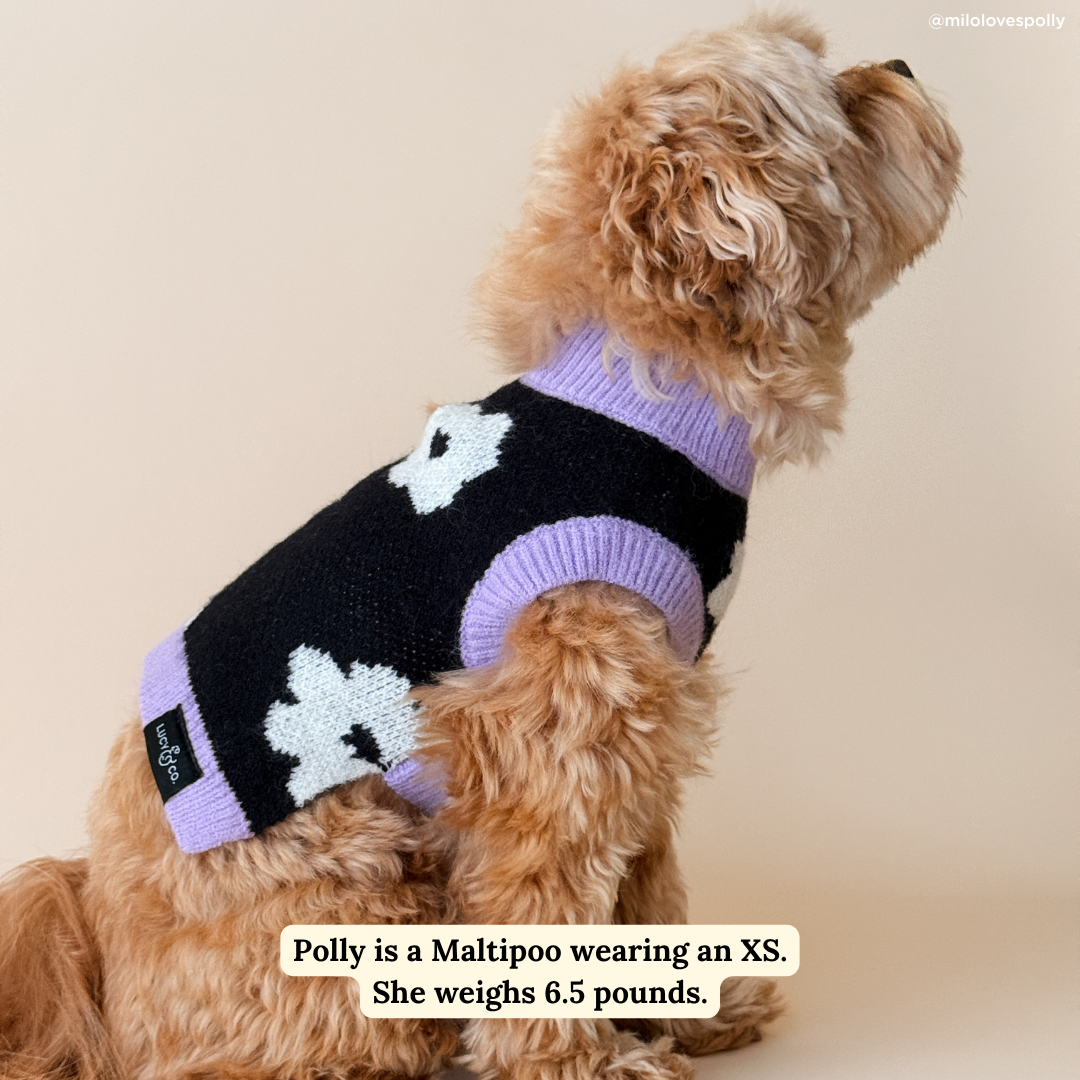Lucy &amp; Co. - Far Out Sweater