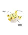 Play Pet Brands - Ocean Buddies- Puffer Fish