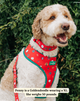 Lucy & Co. - Happy Howlidays Reversible Harness