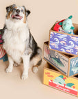 the furryfolks - Fish Express Nosework Toy