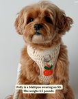 Lucy & Co. - Main Squeeze Crochet No-Pull Harness