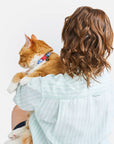 Wild One - Breakaway Cat Collar: S / M • Cat / Bubblegum