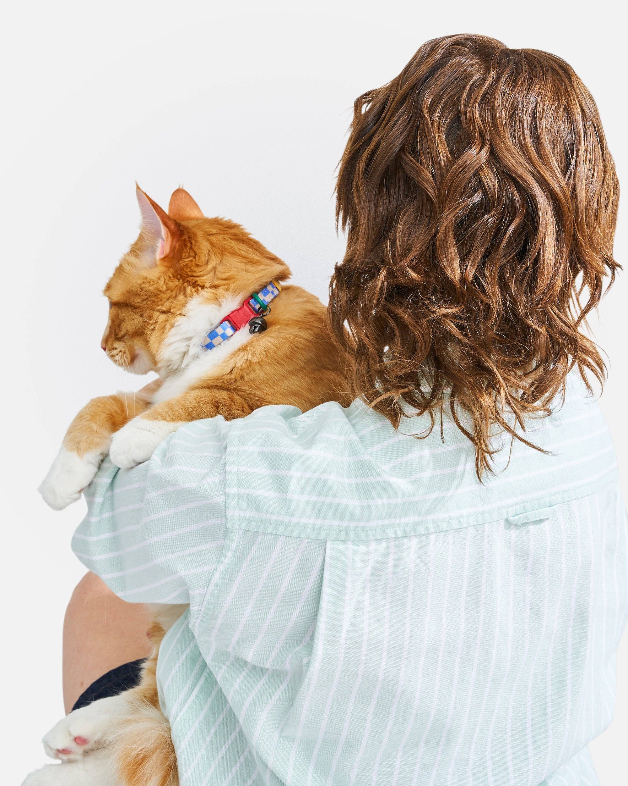 Wild One - Breakaway Cat Collar: XS • Kitten / Retro