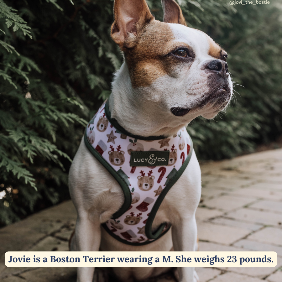 Lucy &amp; Co. - The Jingle Bells Reversible Harness
