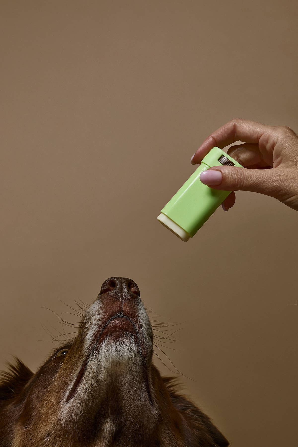 Welltayl - Dog Skin Barrier Stick (Cat-Safe)