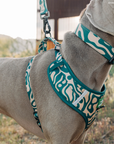 Lucy & Co. - Lucy & Co. x Parks Project Geyser Collar