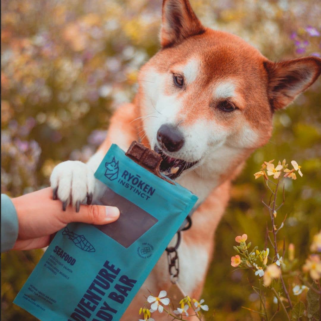 RYŌKEN INSTINCT - Seafood Treat &amp; Snack Bar for Active Dogs -Energy &amp; Recovery