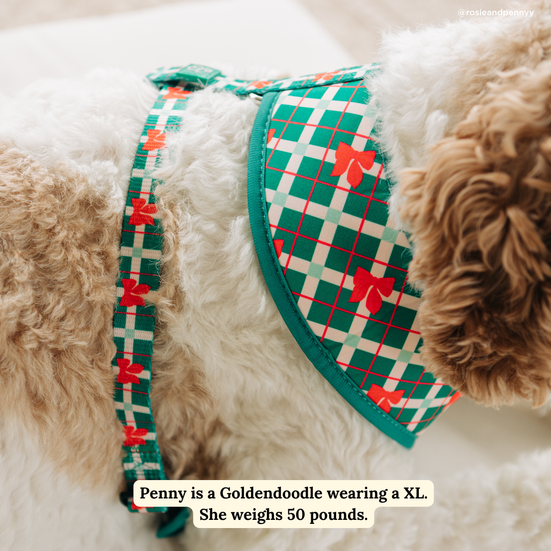 Lucy &amp; Co. - Happy Howlidays Reversible Harness
