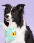 BARK Buddy The Nutty Bunny Easter Plush Dog Toy