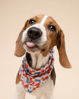 The Paws - Maritime Dog Bandana