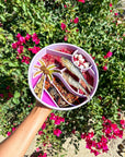 Happy Dingos - Loco Coco Interactive Slow Feeder Bowl : Sunset