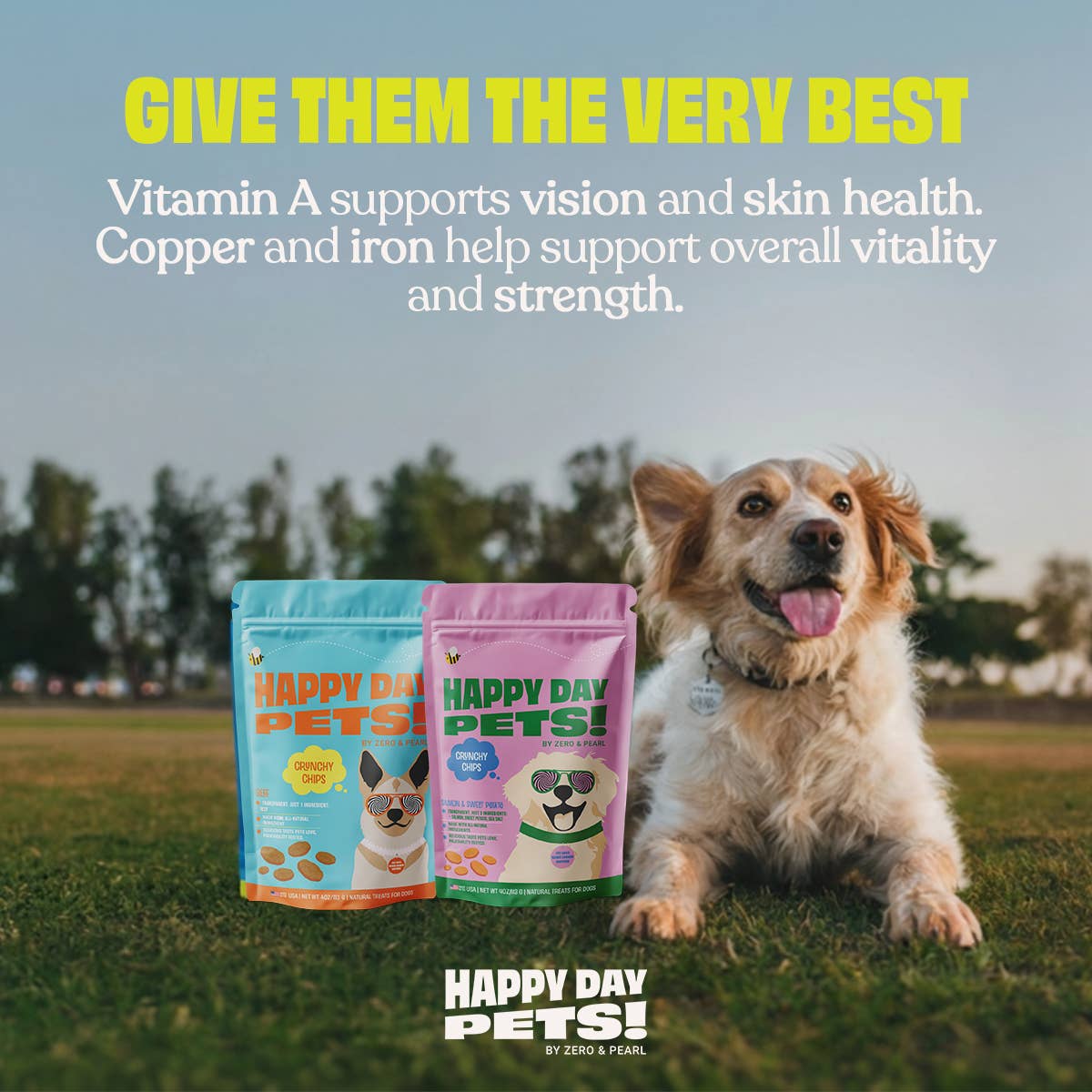 Happy Day Pets - Happy Day Pets Beef Chips Dog Treats | 100% Whole Beef