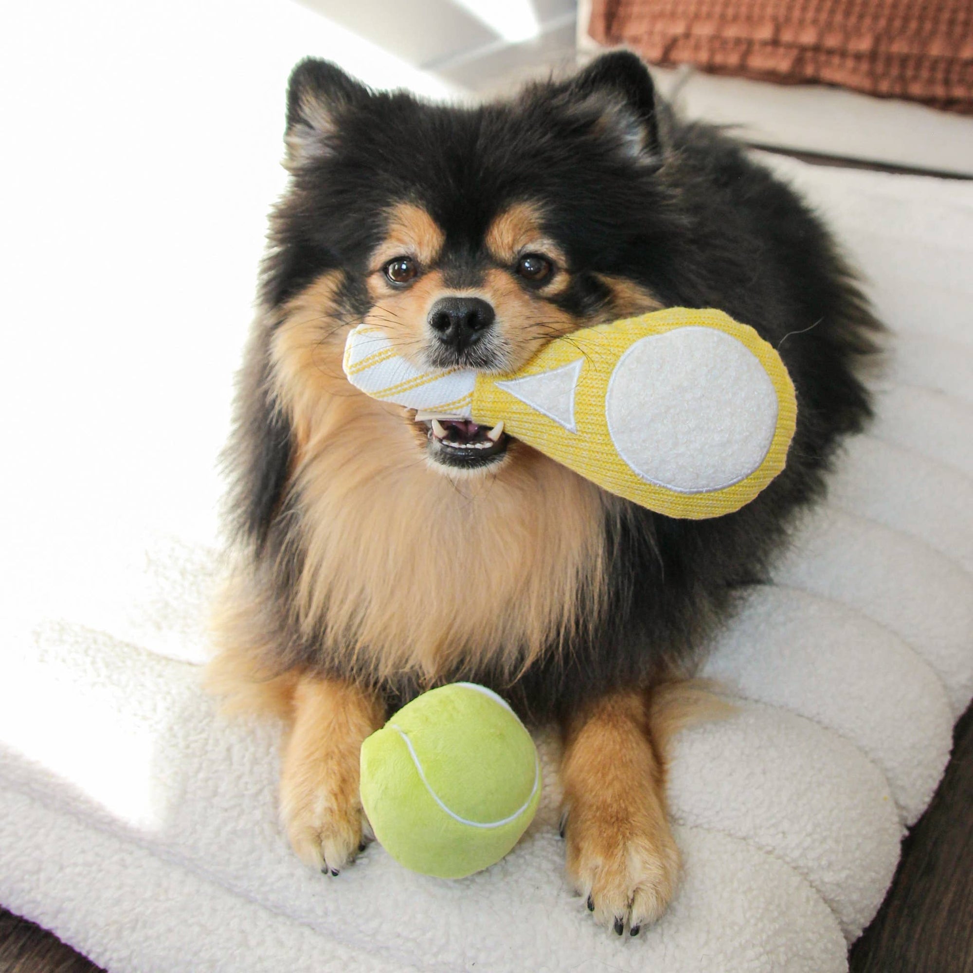 Lambwolf Collective - TENNIS POP // ENRICHMENT DOG TOY // Squeaky Ball Set