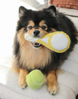 Lambwolf Collective - TENNIS POP // ENRICHMENT DOG TOY // Squeaky Ball Set