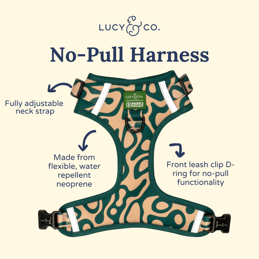 Lucy &amp; Co. - Lucy &amp; Co. x Parks Project Geyser No-Pull Harness