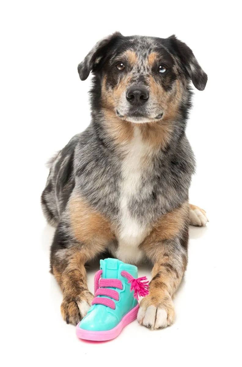 FuzzYard Fresh Kicks N&#39; Licks Dog Chew Toy