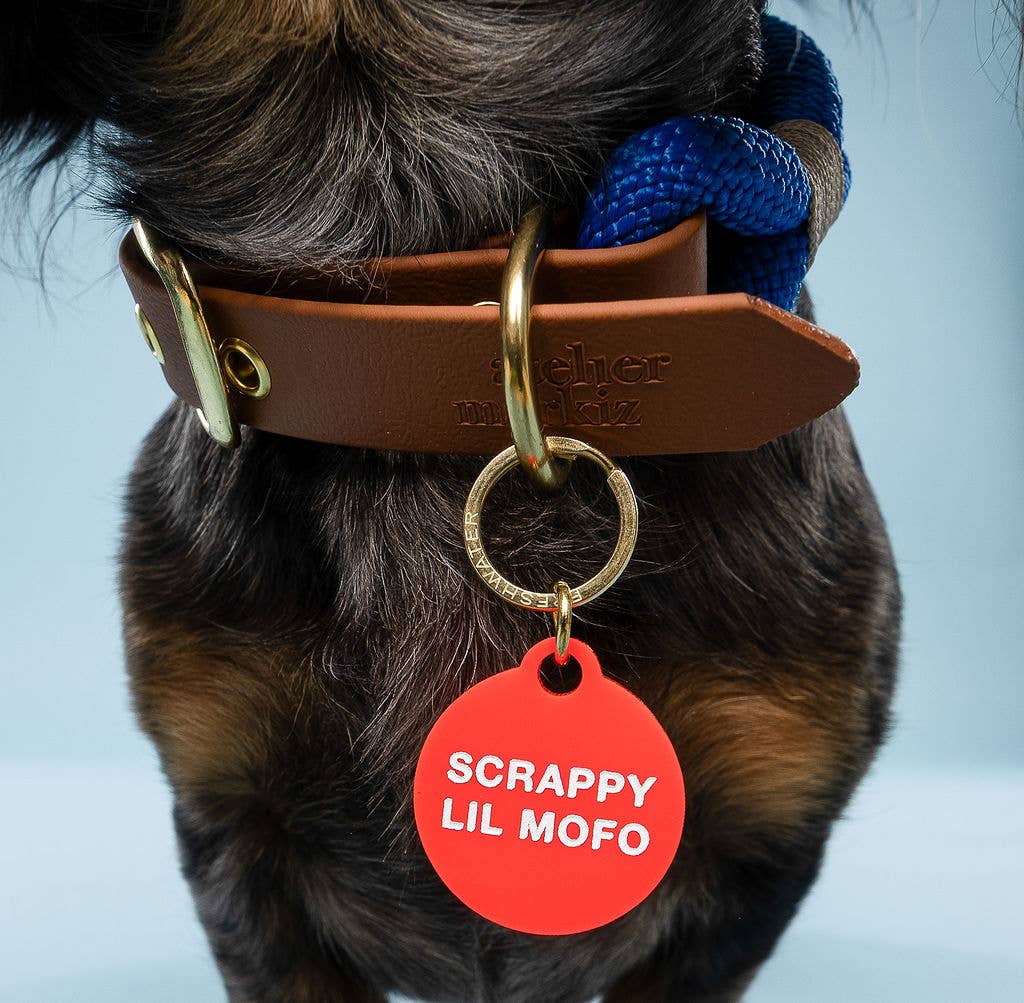 Freshwater Curated Goods™ - Scrappy Lil Mofo Pet Tag