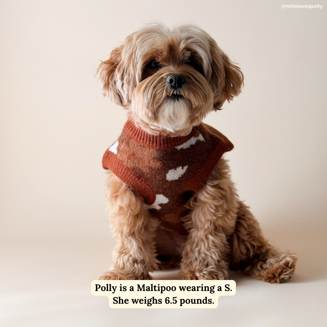 Lucy &amp; Co. - Chocolate Meadows Sweater