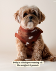 Lucy & Co. - Chocolate Meadows Sweater