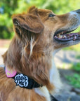 Jiby Dog Crew - Adopt Me Jiby