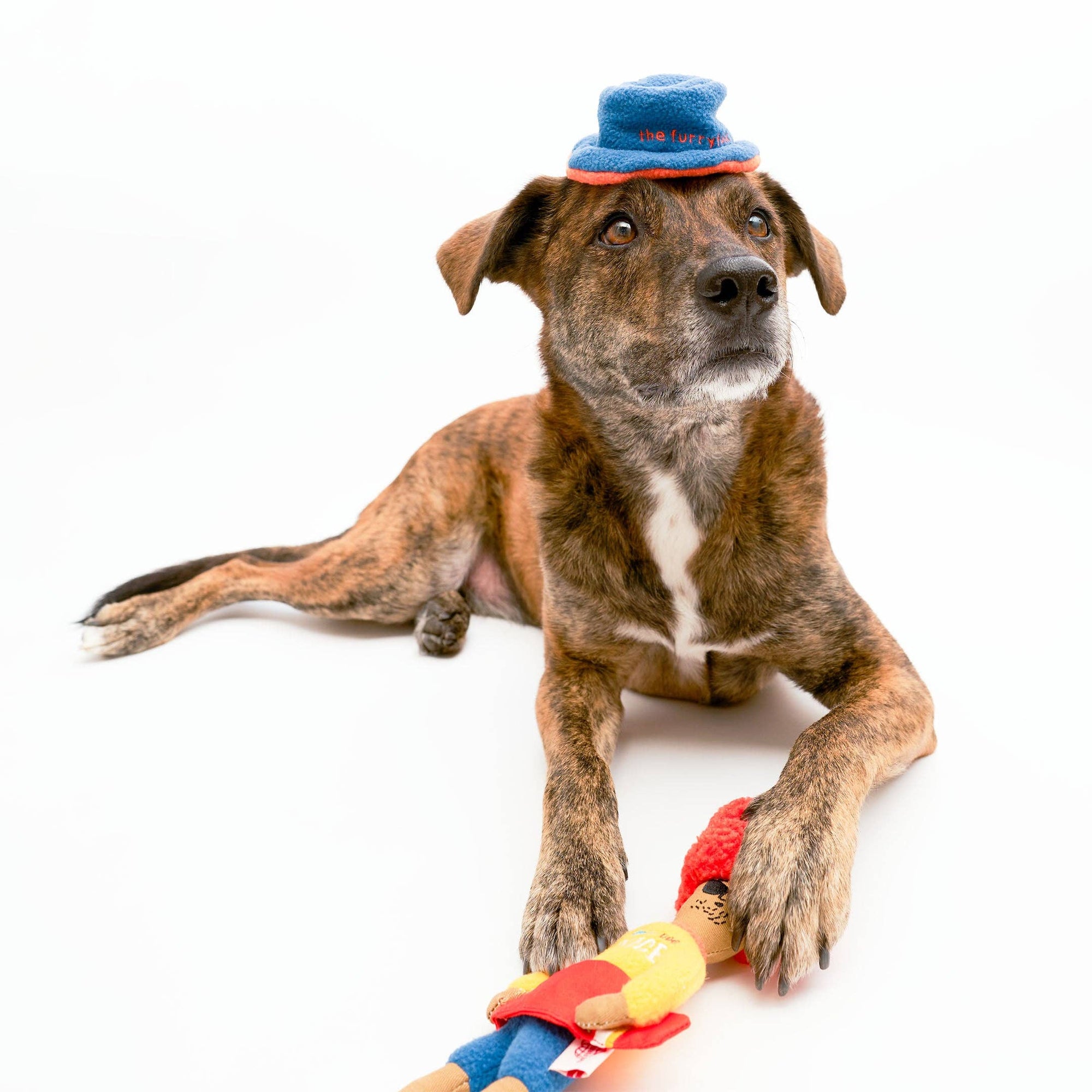 the furryfolks - Surfer Hooman Nosework Toy