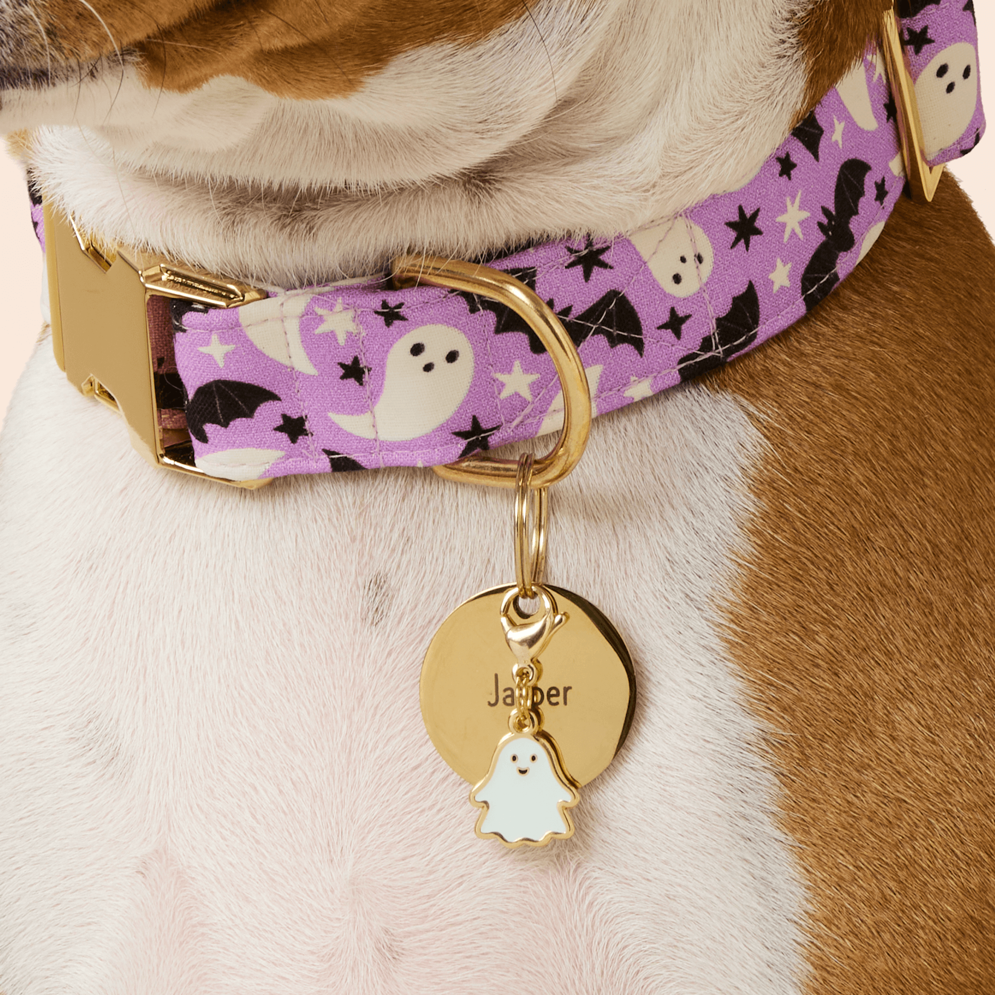 The Foggy Dog - Glow-in-the-Dark Ghost Collar Charm: Charm Only