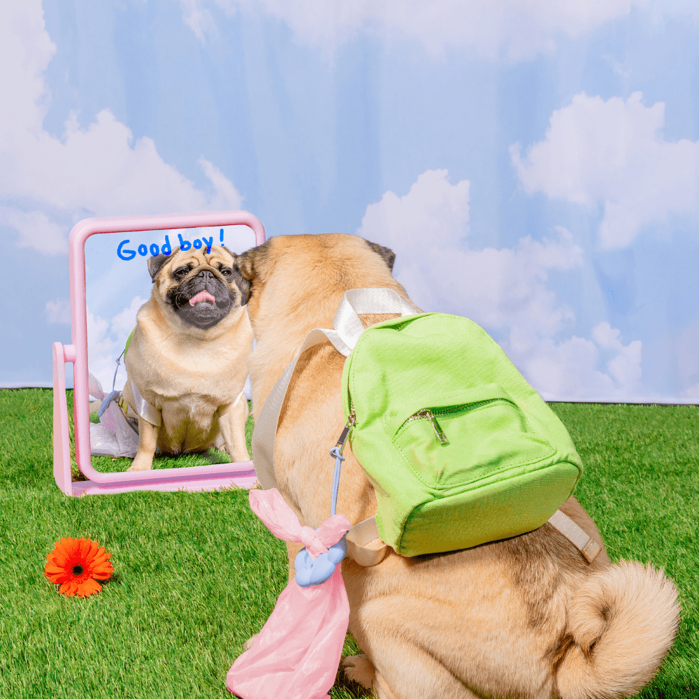 Spotted by Humphrey - Poopsy Daisy Dog Poop Bag Holder - Toe Beans (Pink)