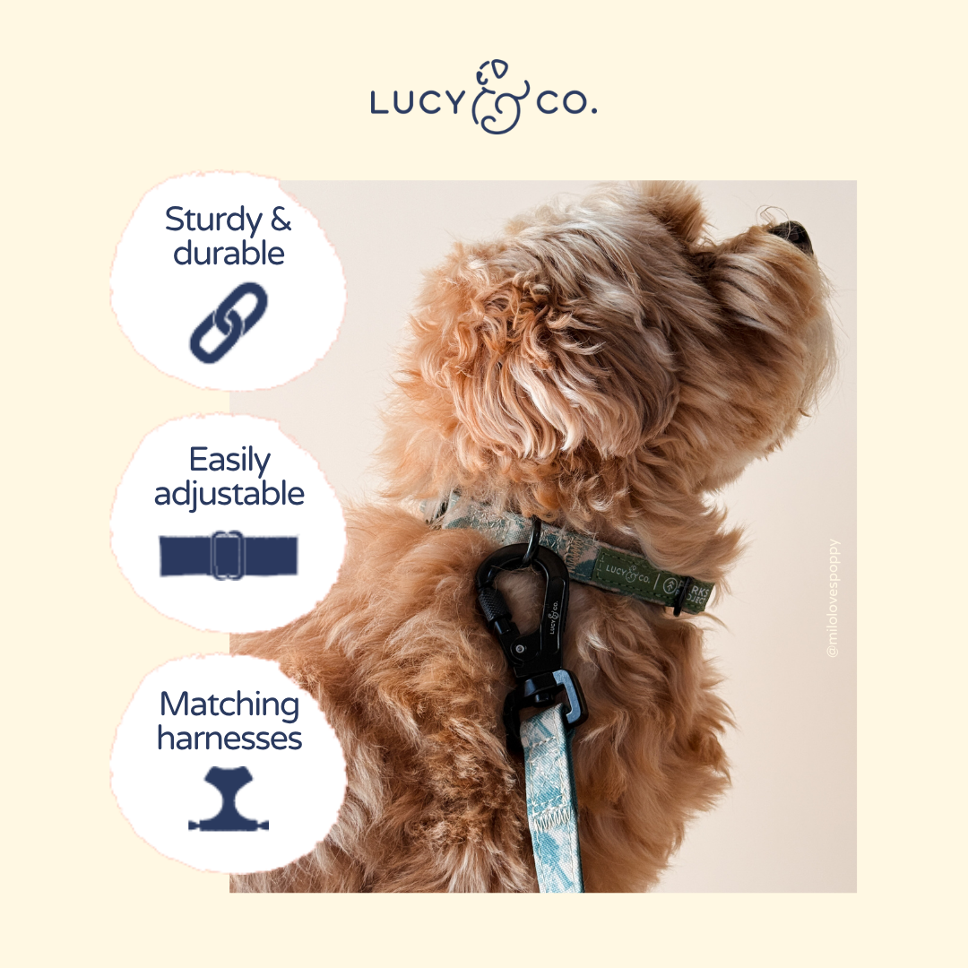 Lucy &amp; Co. - Lucy &amp; Co. x Parks Project Sequoia Seedlings Collar