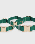 Sunny Tails Meadow Green Waterproof Dog Collar